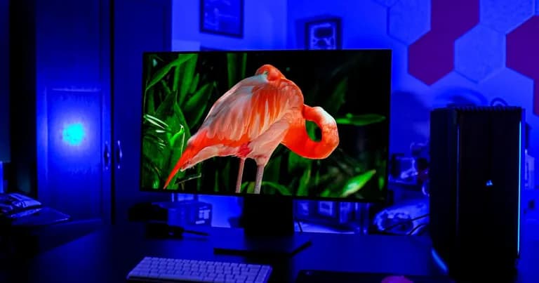  flamingo desktop computer television television system monitor-0