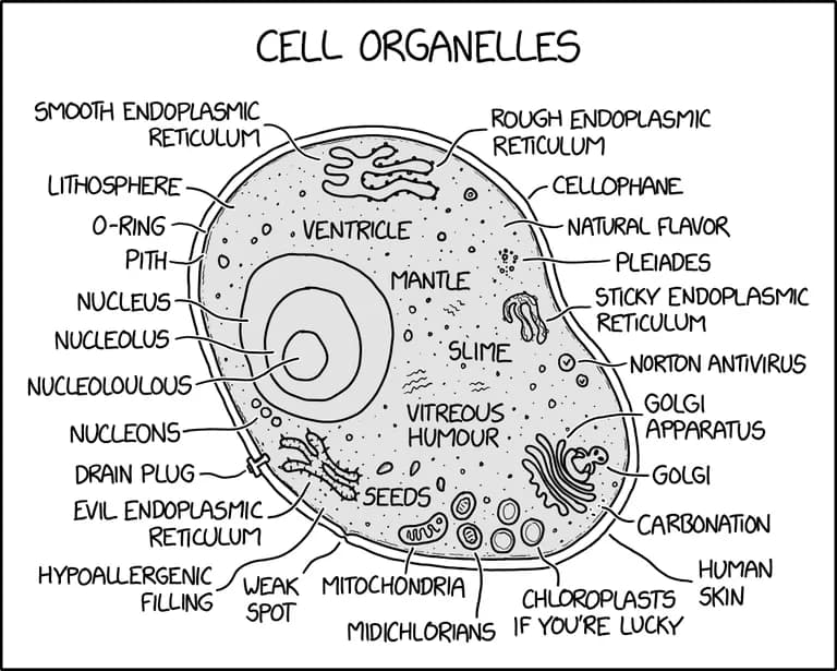  snail nematode nematode worm roundworm chambered nautilus pearly nautilus nautilus oscilloscope scope cathode-ray oscilloscope CRO-0