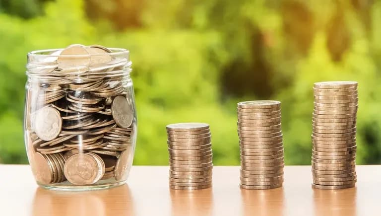 Diversification Strategies for Business-0