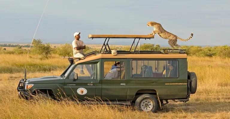  jeep landrover cheetah chetah Acinonyx jubatus leopard Panthera pardus minibus-0