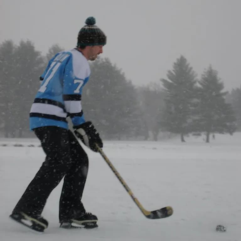  puck hockey puck broom shovel ski-0