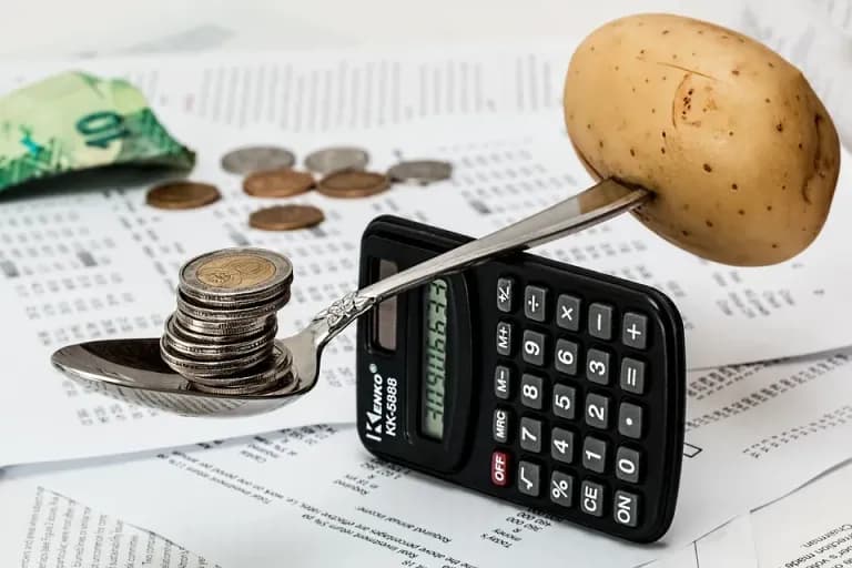 Balancing Budgets in Uncertain Times-0