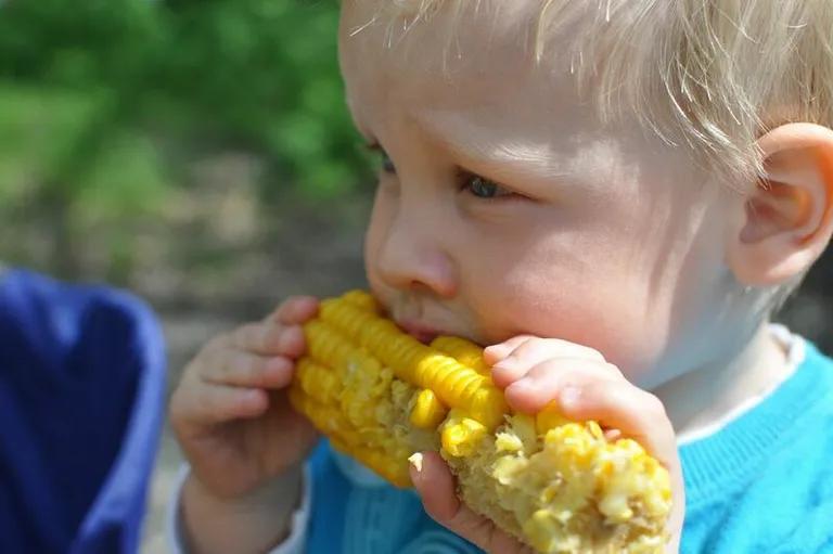  ear spike capitulum corn ice lolly lolly lollipop popsicle titi titi monkey-0