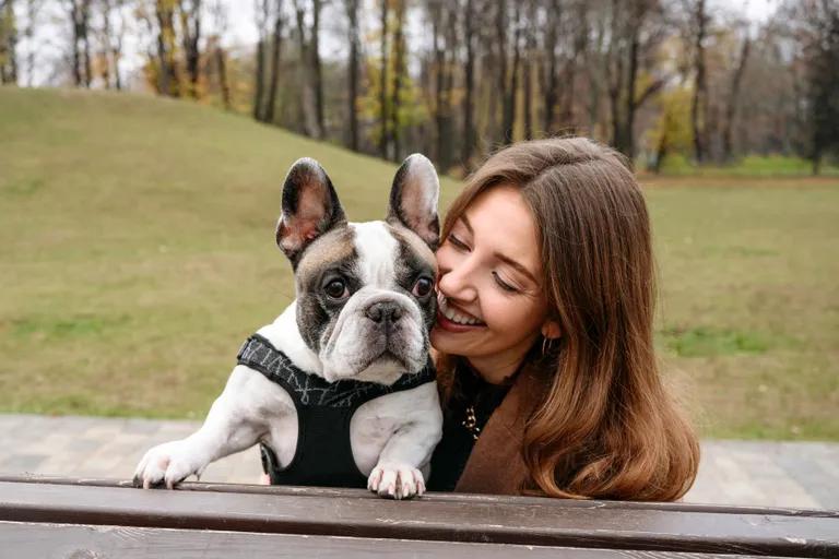  French bulldog Boston bull Boston terrier boxer pug pug-dog-0