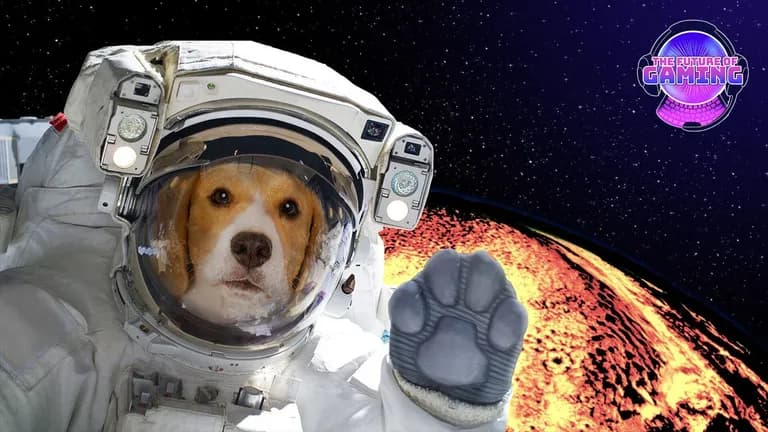  space shuttle beagle oxygen mask Walker hound Walker foxhound-0