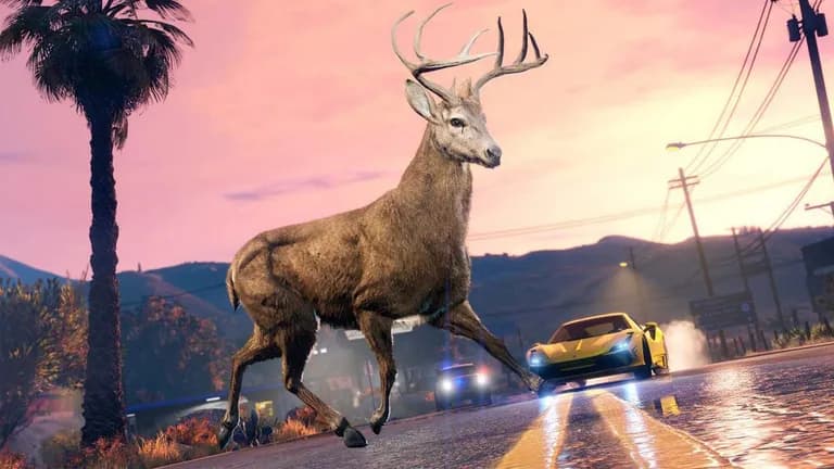  bighorn bighorn sheep cimarron Rocky Mountain bighorn Rocky Mountain sheep Ovis canadensis ibex Capra ibex racer race car racing car cab hack taxi taxicab-0