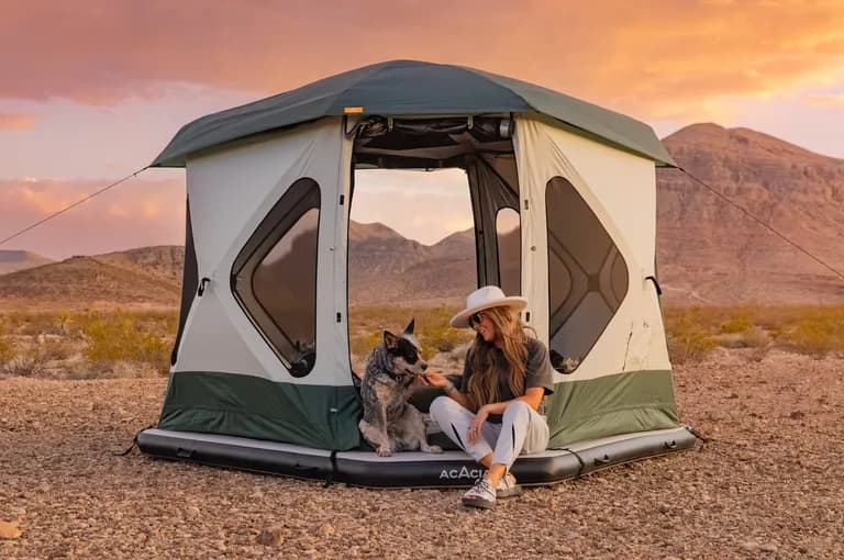  mountain tent Norwegian elkhound elkhound German shepherd German shepherd dog German police dog alsatian standard schnauzer-0