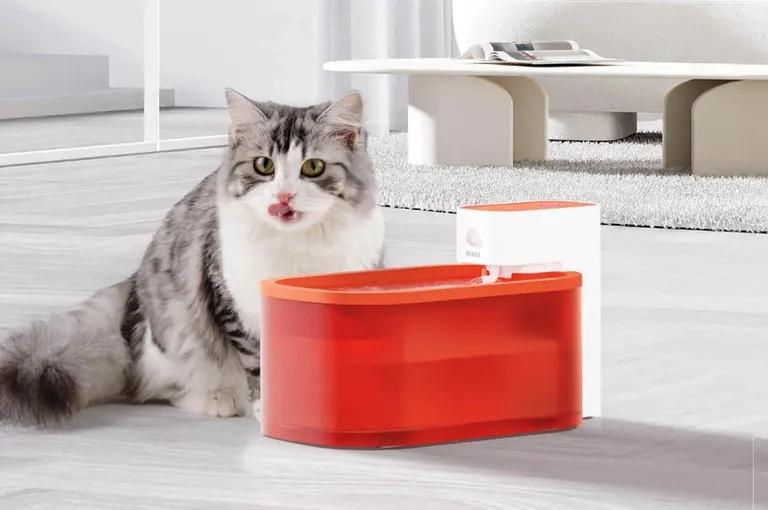  bucket pail swab swob mop ashcan trash can garbage can wastebin ash bin ash-bin ashbin dustbin trash barrel trash bin tabby tabby cat-0