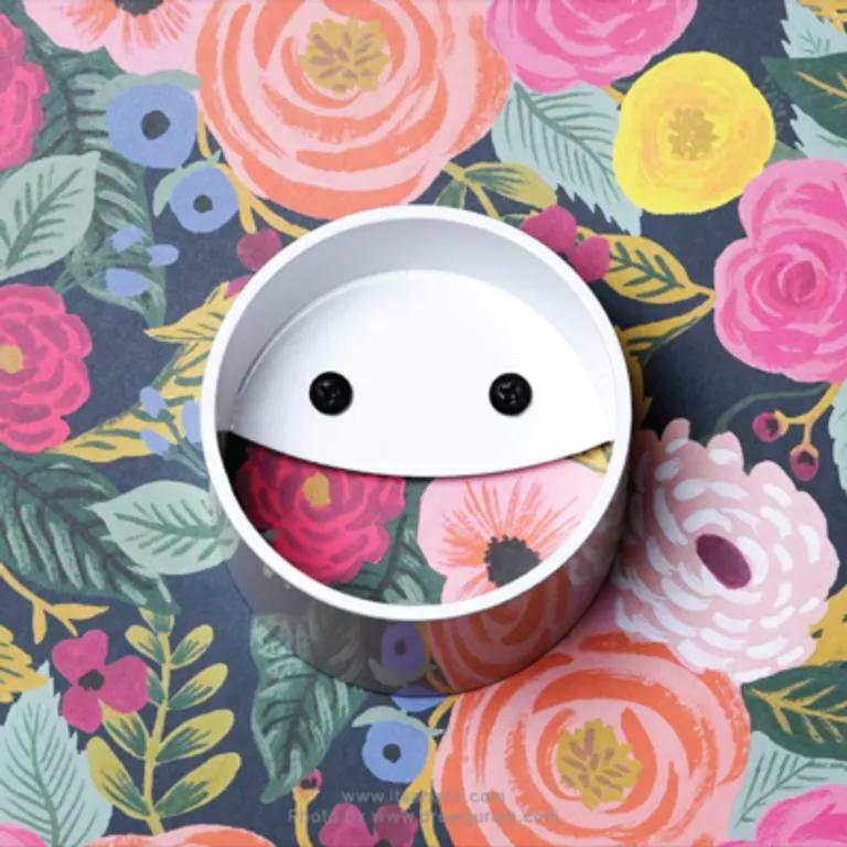  pencil sharpener face powder mixing bowl cup-0