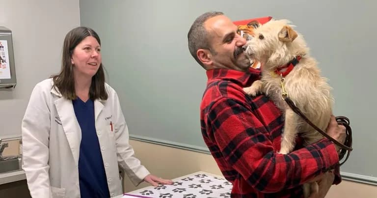  Norfolk terrier Norwich terrier cairn cairn terrier lab coat laboratory coat-0