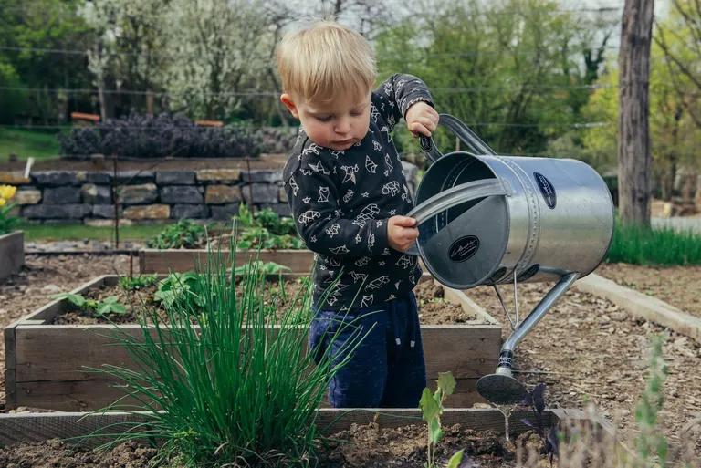  rain barrel bucket pail milk can water jug-0