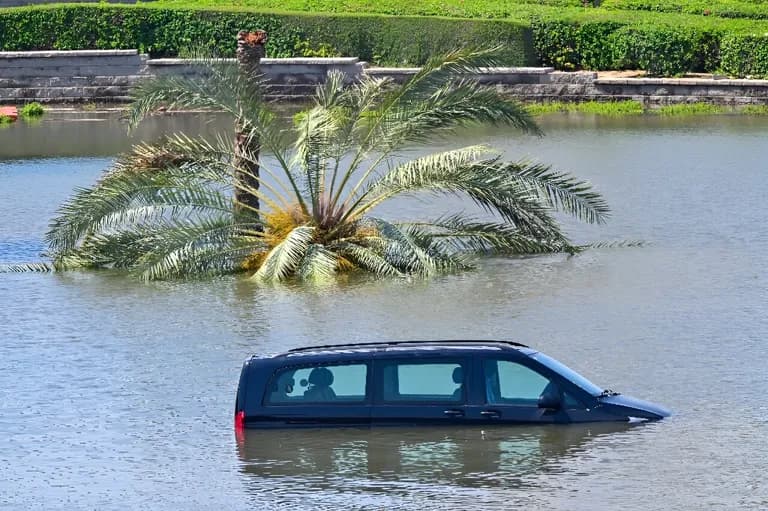  minivan beach wagon station wagon wagon estate car beach waggon station waggon waggon minibus lakeside lakeshore-0