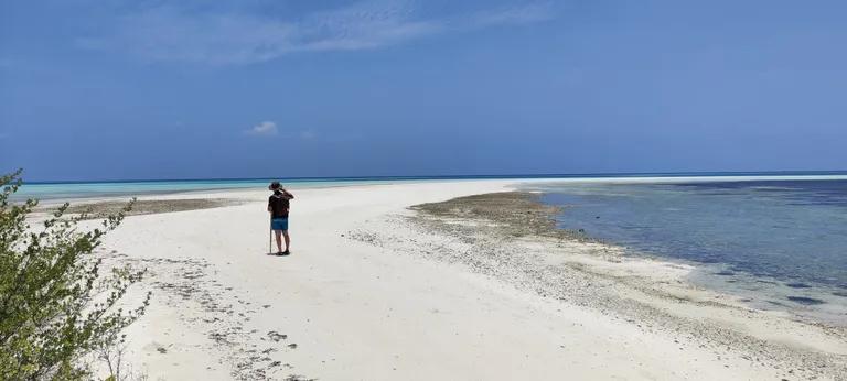  sandbar sand bar seashore coast seacoast sea-coast promontory headland head foreland coral reef-0