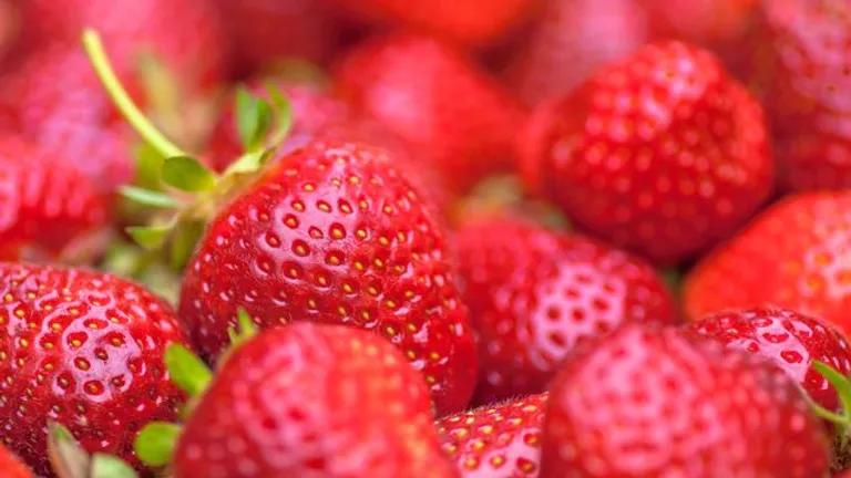  strawberry strainer tray grocery store grocery food market market-0