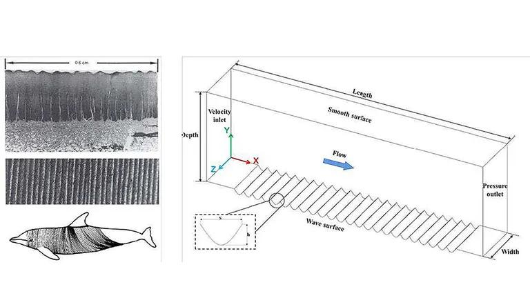  rule ruler envelope radiator plate rack-0