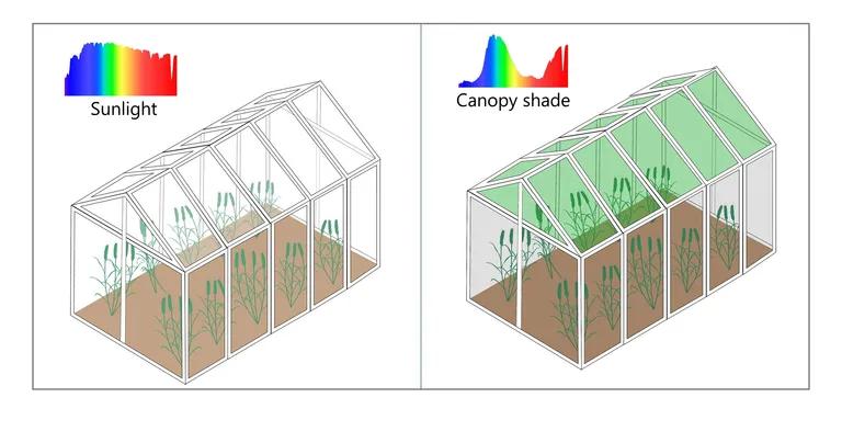  plate rack carton crate greenhouse nursery glasshouse-0