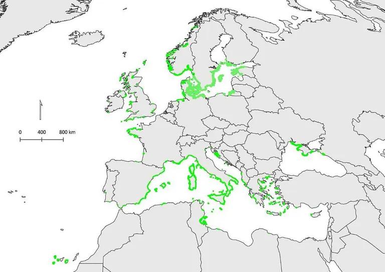  web site website internet site site volcano alp monitor-0