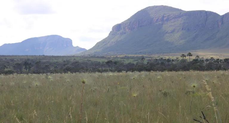  valley vale cliff drop drop-off alp promontory headland head foreland-0