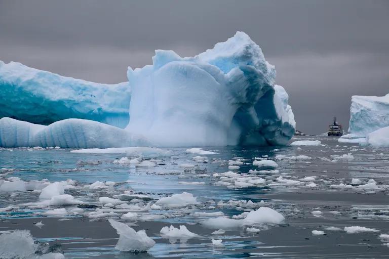  ice bear polar bear Ursus Maritimus Thalarctos maritimus king penguin Aptenodytes patagonica sea lion fireboat-0