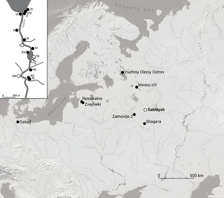  web site website internet site site alp ant emmet pismire nematode nematode worm roundworm-0