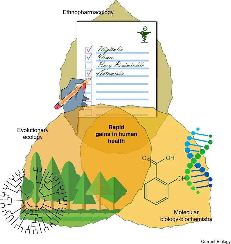  web site website internet site site envelope menu quill quill pen-0