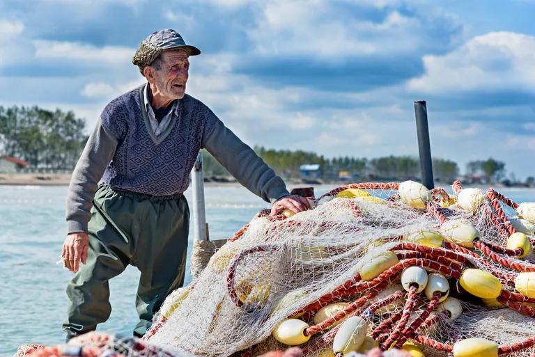  king crab Alaska crab Alaskan king crab Alaska king crab Paralithodes camtschatica rock crab Cancer irroratus Dungeness crab Cancer magister lakeside lakeshore-0