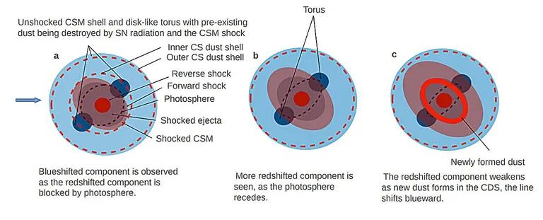  gong tam-tam nematode nematode worm roundworm nipple Petri dish-0