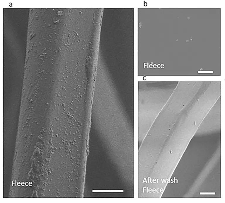  nematode nematode worm roundworm nail isopod web site website internet site site-0