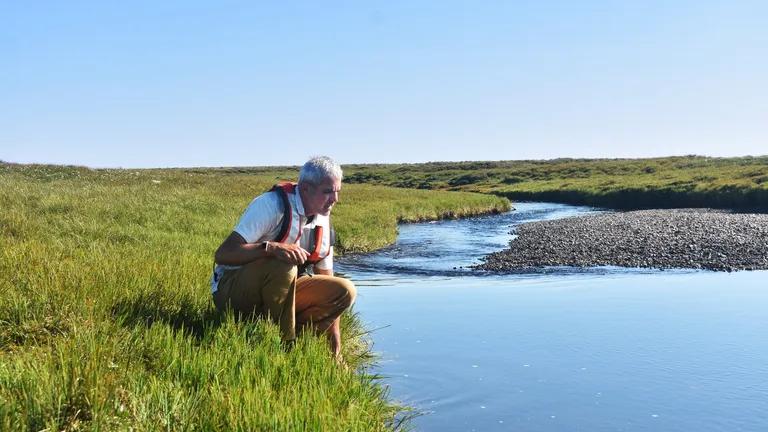  lakeside lakeshore sandbar sand bar valley vale tench Tinca tinca-0