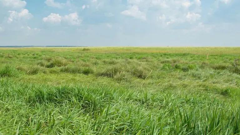  lakeside lakeshore maze labyrinth seashore coast seacoast sea-coast sandbar sand bar-0