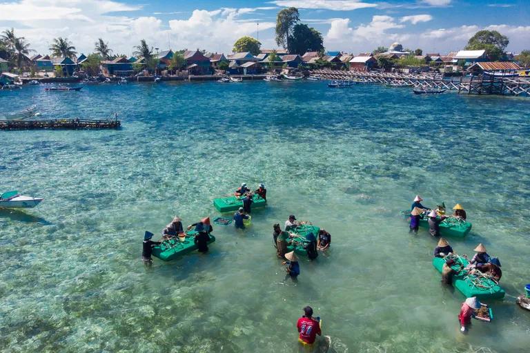  coral reef sandbar sand bar lakeside lakeshore canoe-0