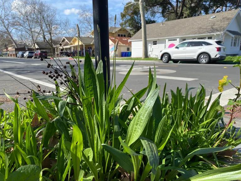  street sign pole mailbox letter box pot flowerpot-0