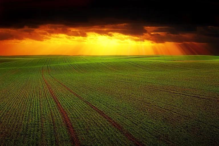  rapeseed valley vale balloon barn-0