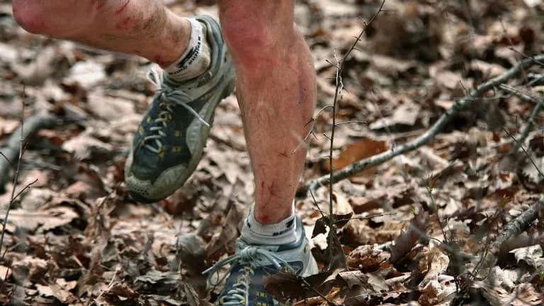  running shoe crutch hen-of-the-woods hen of the woods Polyporus frondosus Grifola frondosa swing-0