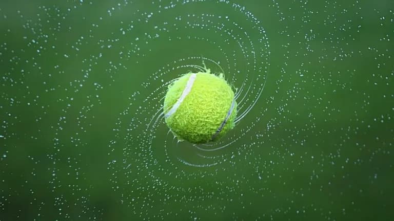  tennis ball racket racquet croquet ball Chesapeake Bay retriever baseball-0