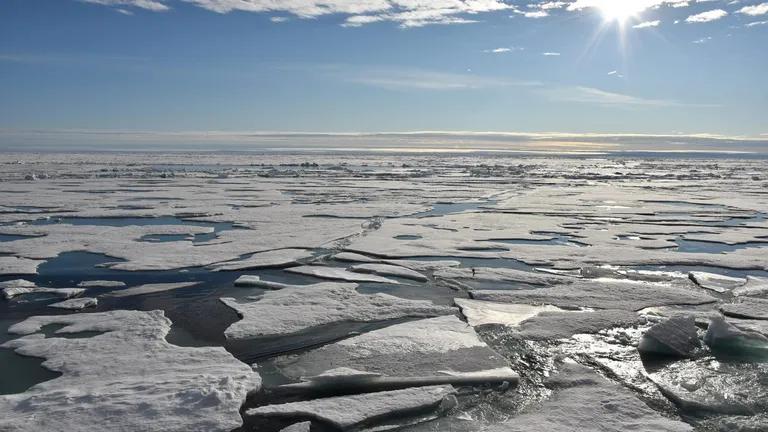  ice bear polar bear Ursus Maritimus Thalarctos maritimus lakeside lakeshore seashore coast seacoast sea-coast alp-0