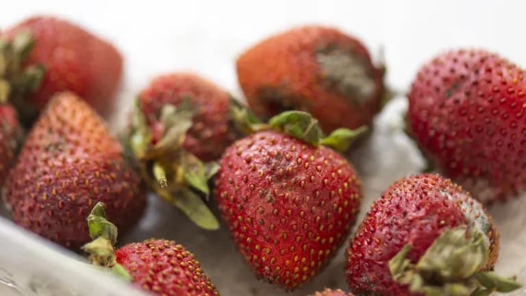  strawberry strainer trifle earthstar pineapple ananas-0