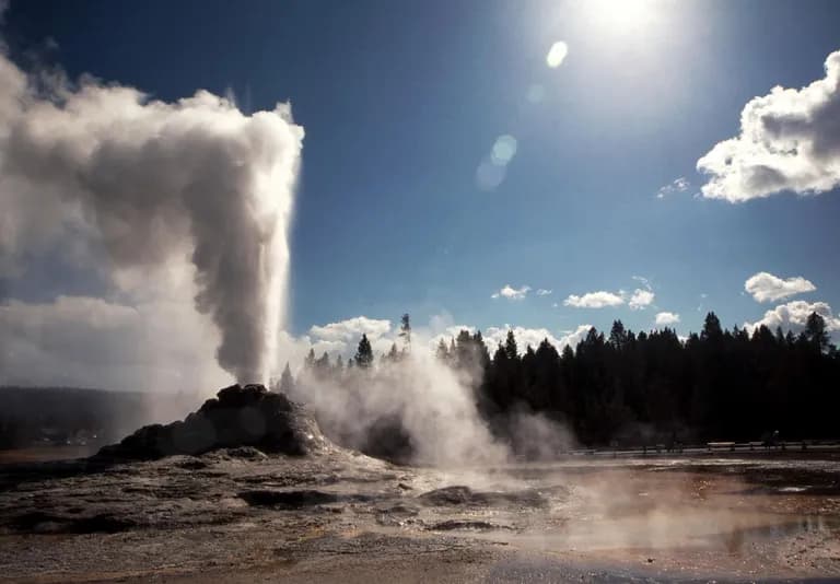  geyser fountain bison volcano-0