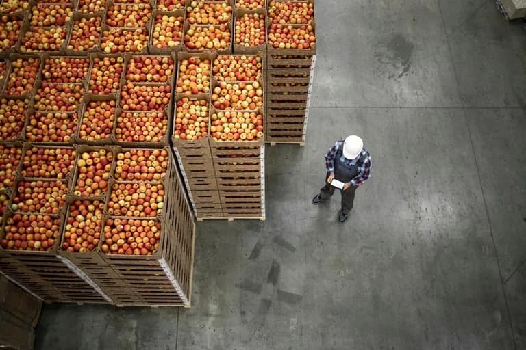  grocery store grocery food market market crate fig forklift-0