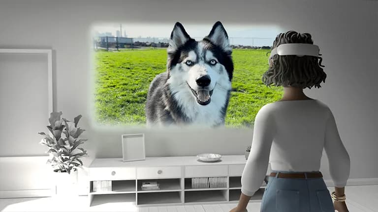  Eskimo dog husky Siberian husky malamute malemute Alaskan malamute timber wolf grey wolf gray wolf Canis lupus-0