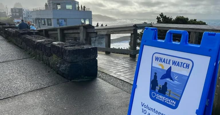  breakwater groin groyne mole bulwark seawall jetty street sign ashcan trash can garbage can wastebin ash bin ash-bin ashbin dustbin trash barrel trash bin pier-0