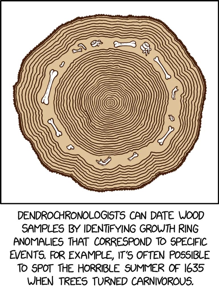  chiton coat-of-mail shell sea cradle polyplacophore gong tam-tam shield buckler maze labyrinth-0